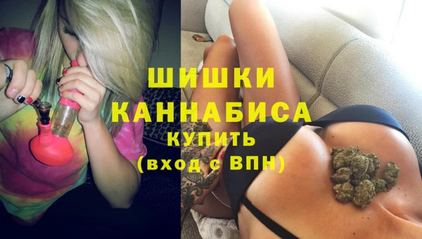 молекула духа Володарск